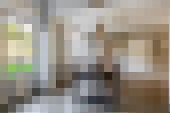 Lingsweg 23 Tegelen thumbnail 14
