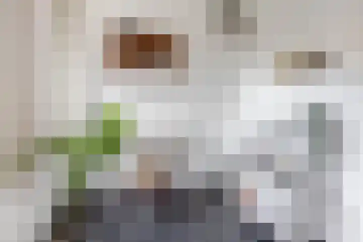 Lingsweg 23 Tegelen thumbnail 18