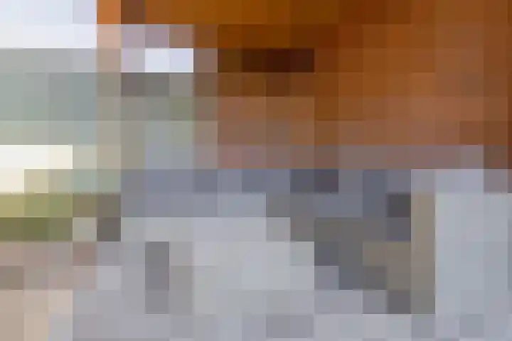 Lingsweg 23 Tegelen thumbnail 22