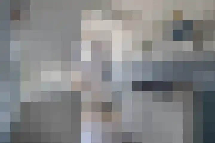 Lingsweg 23 Tegelen thumbnail 27