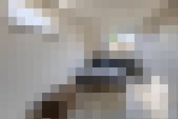 Lingsweg 23 Tegelen thumbnail 29