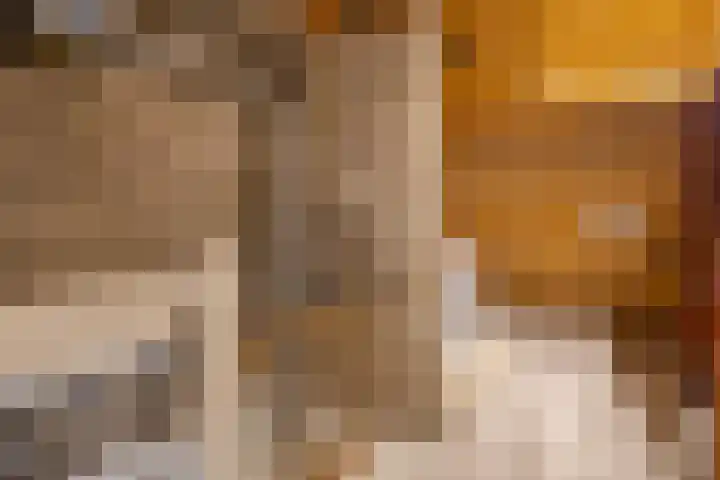 Lingsweg 23 Tegelen thumbnail 31