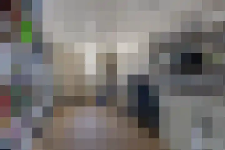 Lingsweg 23 Tegelen thumbnail 33