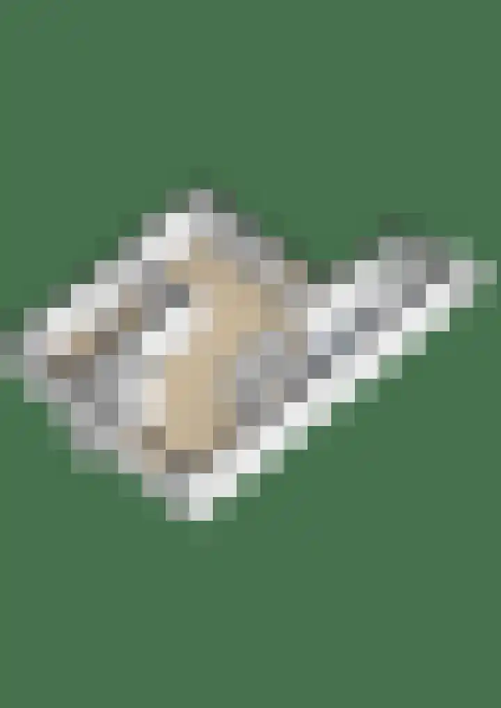 Lingsweg 23 Tegelen thumbnail 37