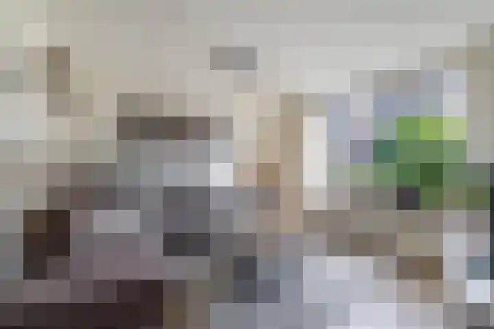 Lingsweg 23 Tegelen thumbnail 8