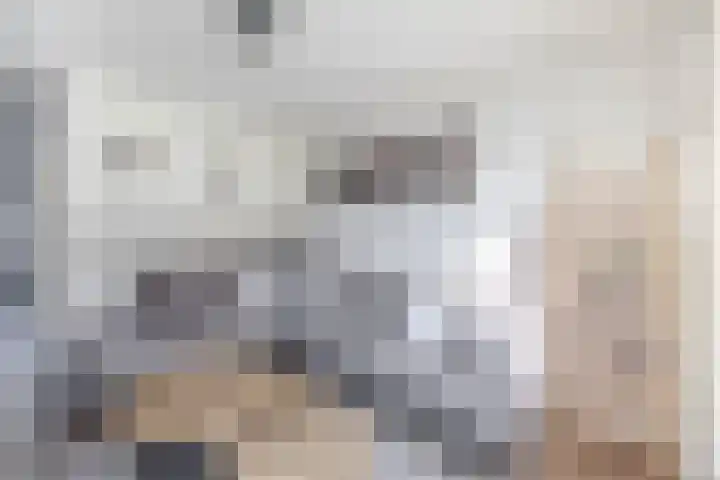 Lingsweg 23 Tegelen thumbnail 9