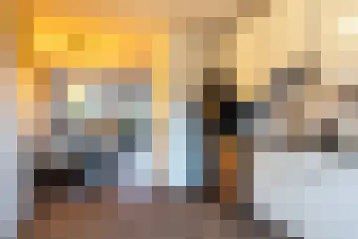 Linie 11 Apeldoorn thumbnail 10