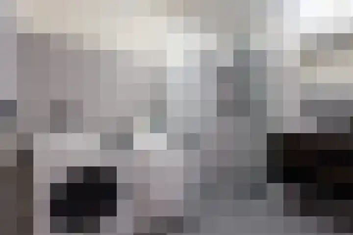 Linie 11 Apeldoorn thumbnail 13