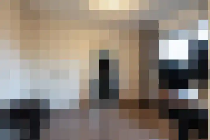 Linie 11 Apeldoorn thumbnail 15