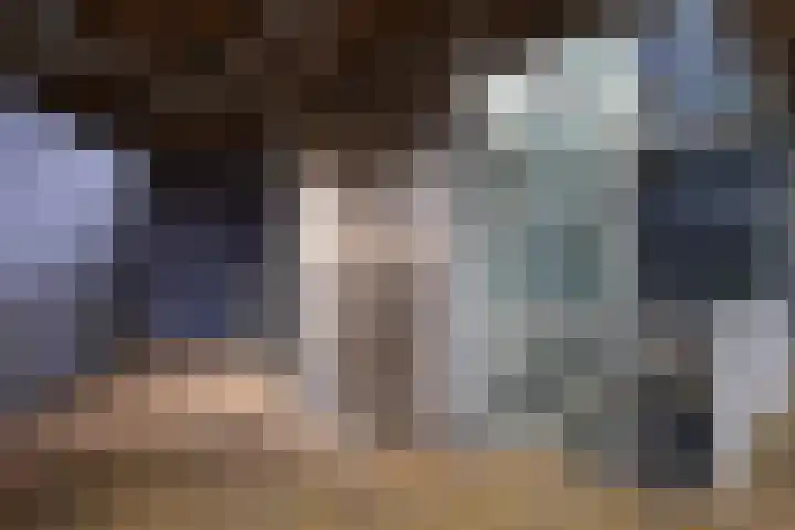 Linie 11 Apeldoorn thumbnail 21
