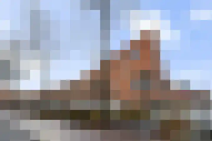 Linie 11 Apeldoorn thumbnail 28