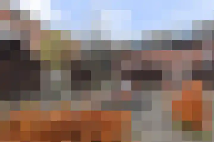 Linie 11 Apeldoorn thumbnail 29