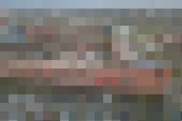 Linie 11 Apeldoorn thumbnail 31