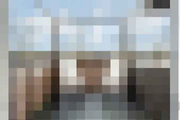 Linie 11 Apeldoorn thumbnail 6