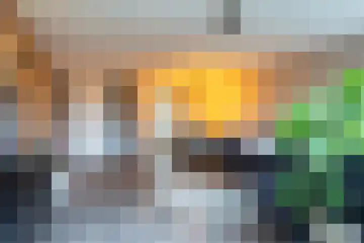 Linie 11 Apeldoorn thumbnail 7