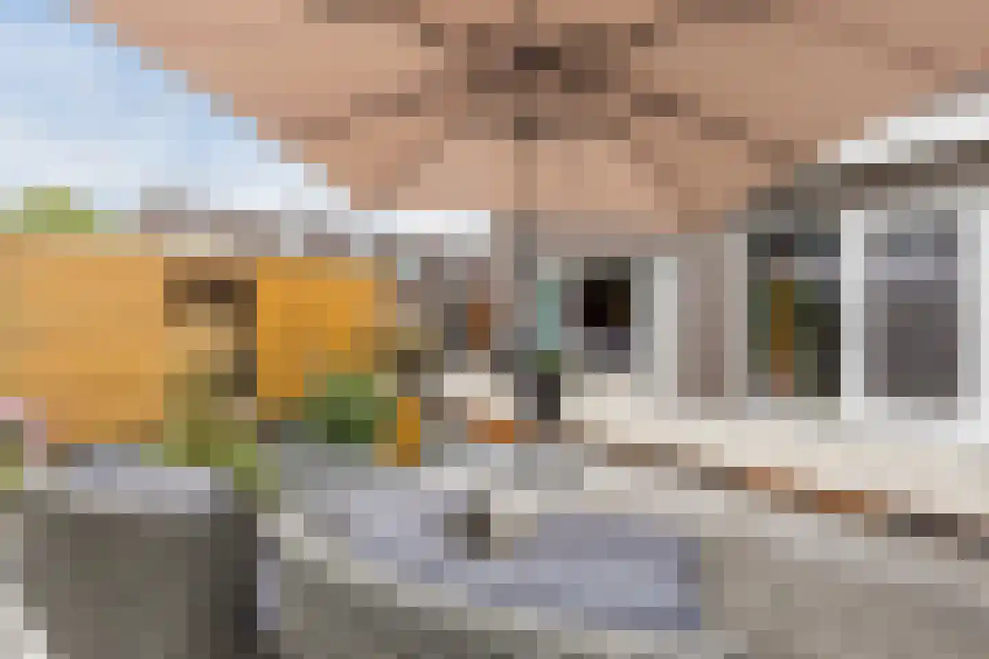 Linie 12 De Kwakel thumbnail 13