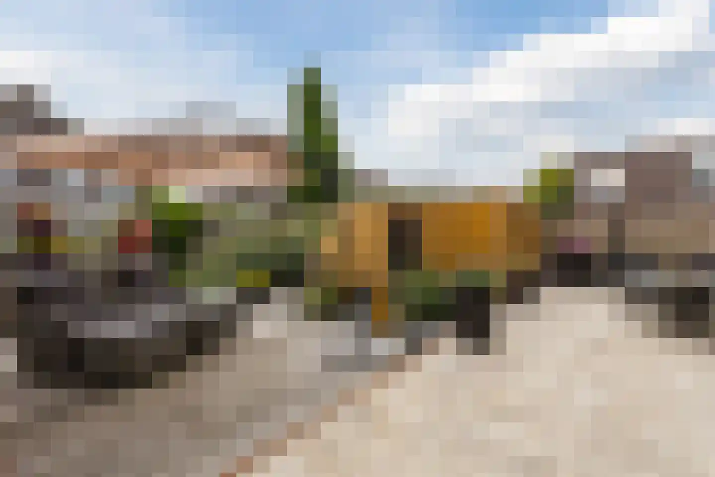 Linie 12 De Kwakel thumbnail 14