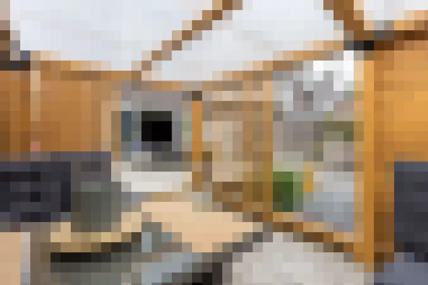 Linie 12 De Kwakel thumbnail 16