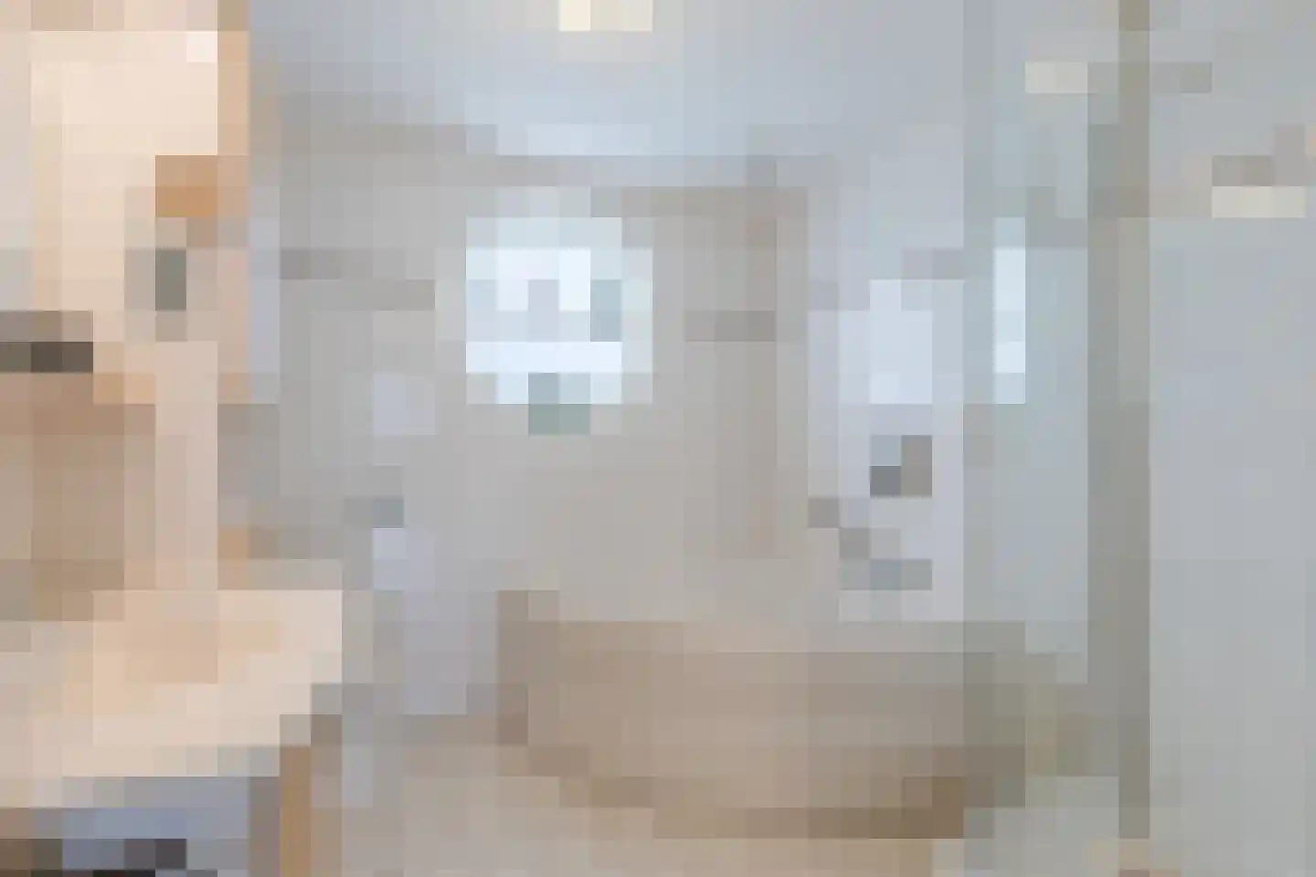 Linie 12 De Kwakel thumbnail 24