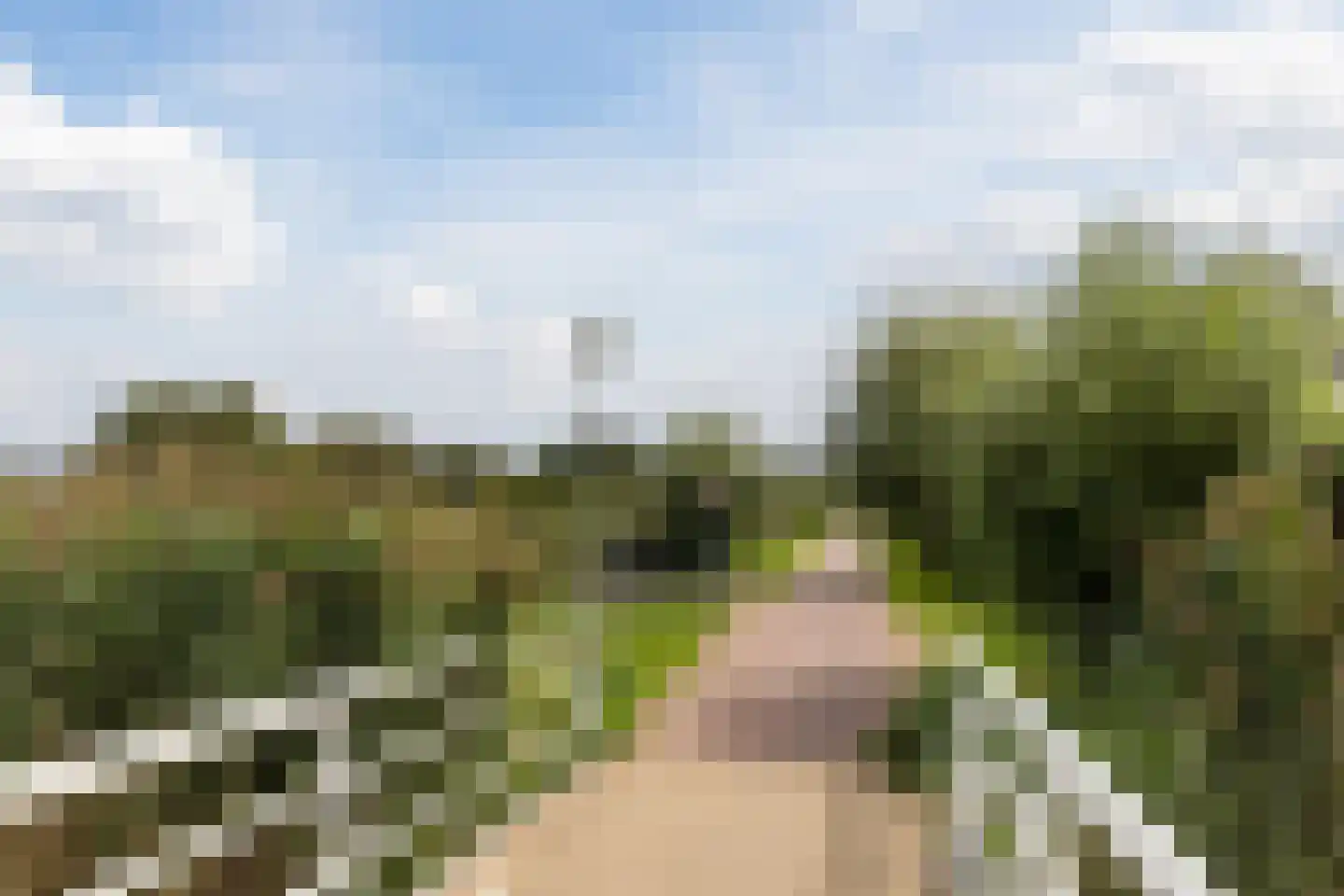 Linie 12 De Kwakel thumbnail 29