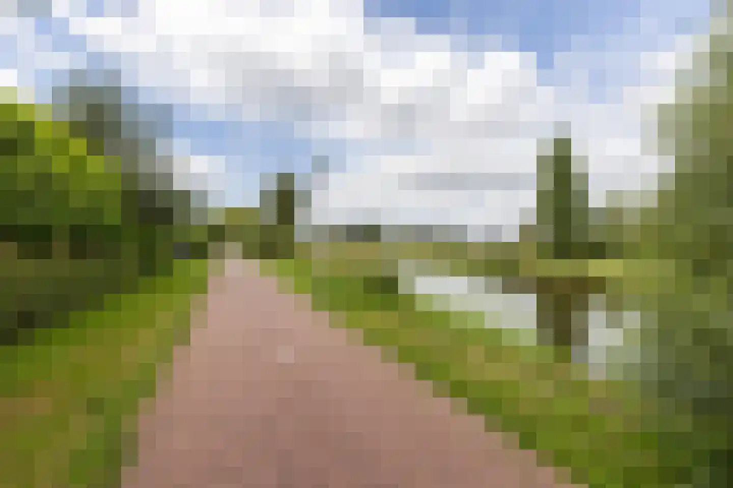 Linie 12 De Kwakel thumbnail 30