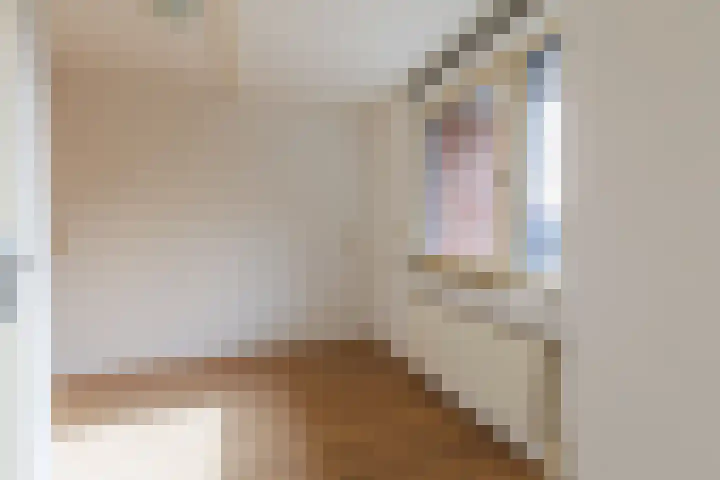 Linie 155 Apeldoorn thumbnail 15