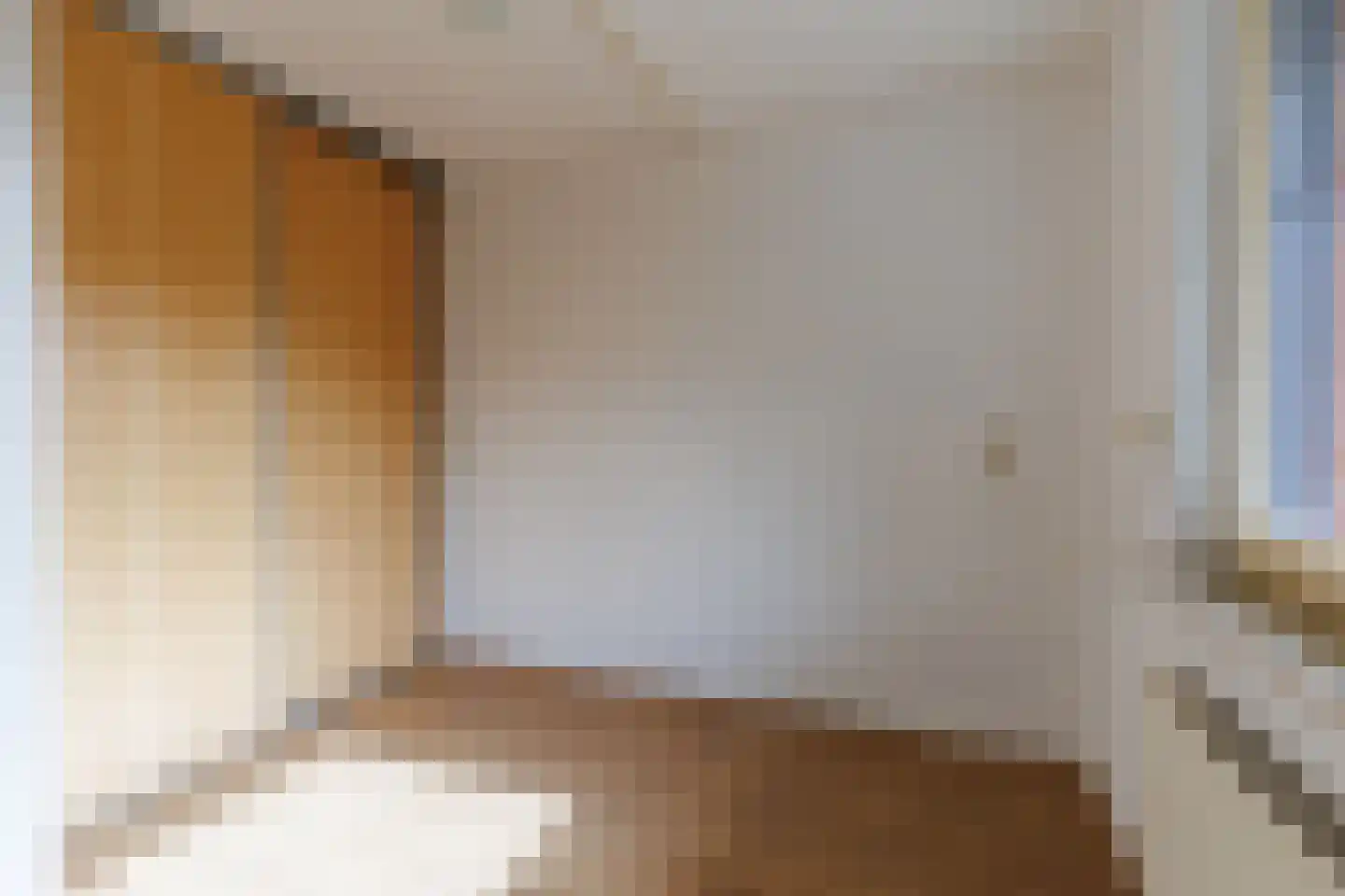 Linie 155 Apeldoorn thumbnail 16