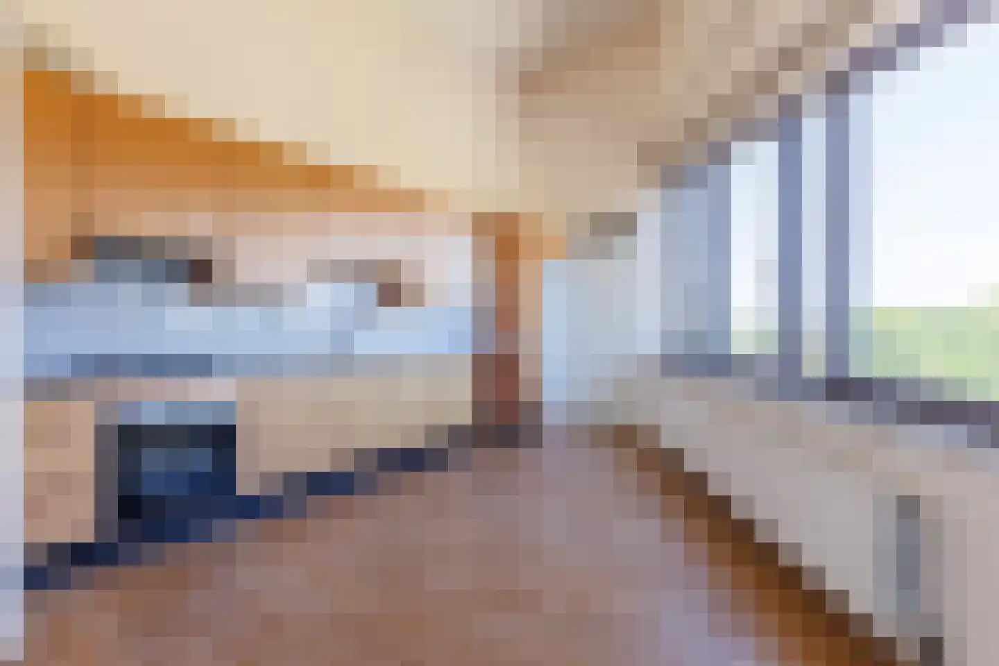 Linie 161 Apeldoorn thumbnail 7
