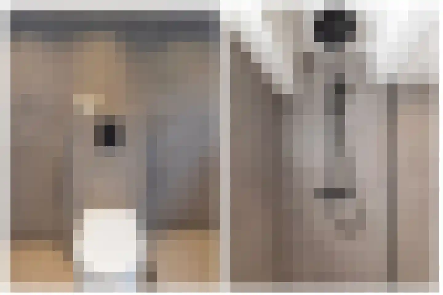 Linie 2 Velserbroek thumbnail 30