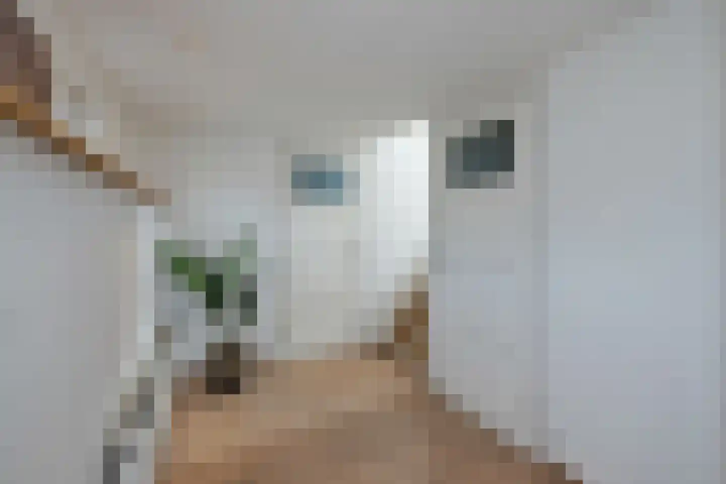 Linie 2 Velserbroek thumbnail 6