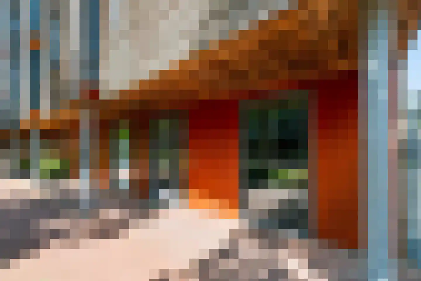 Linie 227 Apeldoorn thumbnail 23