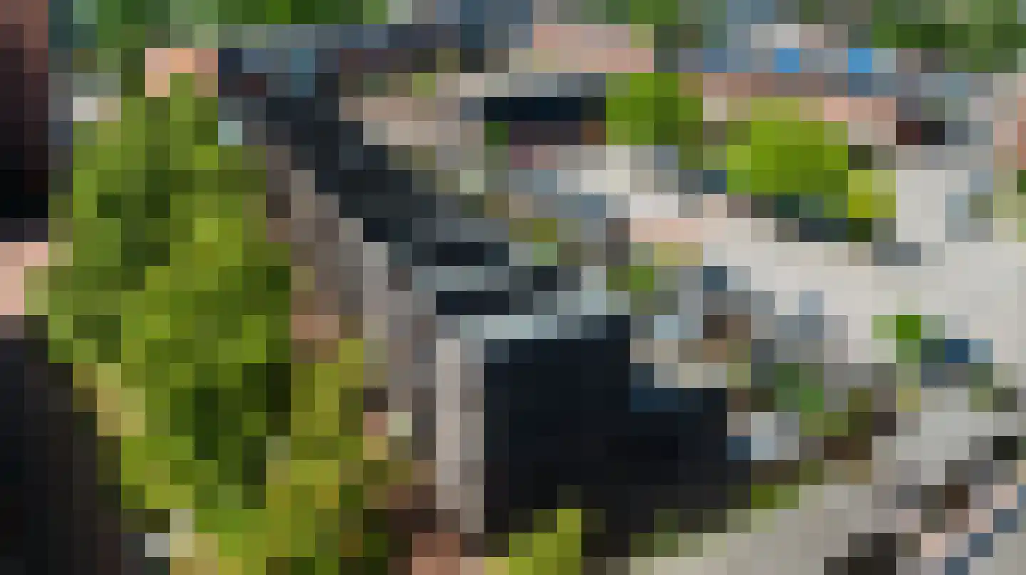 Linie 227 Apeldoorn thumbnail 25