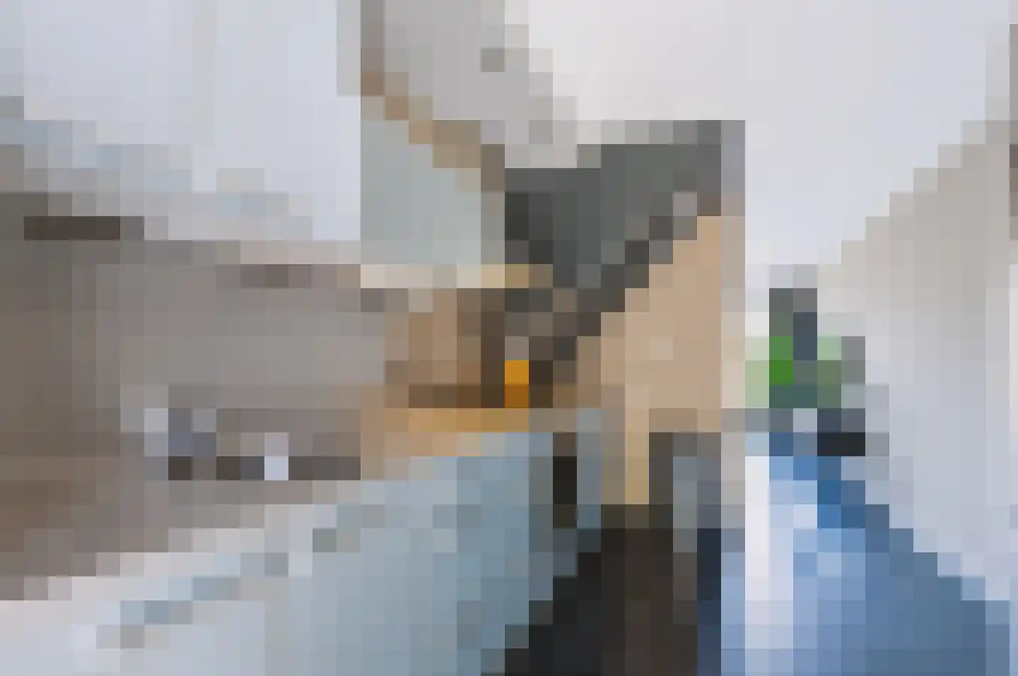 Linie 227 Apeldoorn thumbnail 8