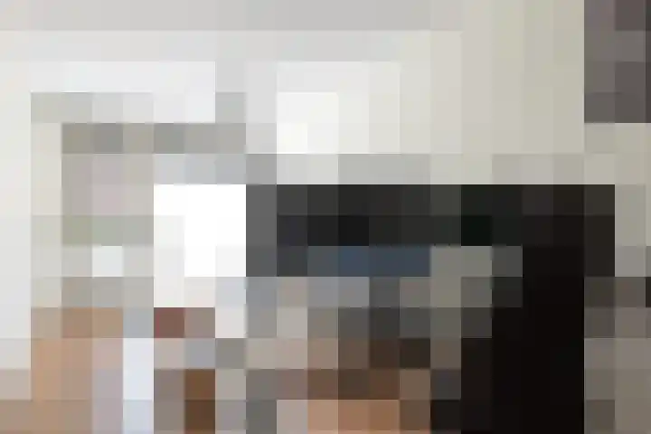 Linie 243 Apeldoorn thumbnail 10