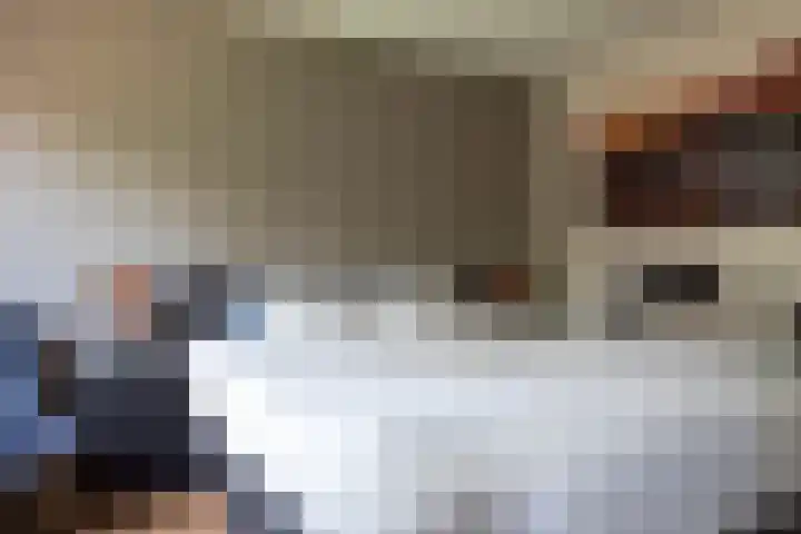 Linie 243 Apeldoorn thumbnail 14