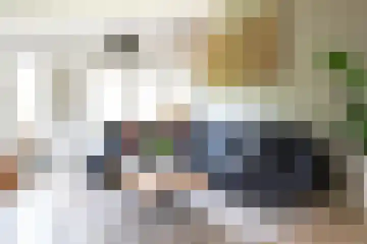 Linie 243 Apeldoorn thumbnail 20