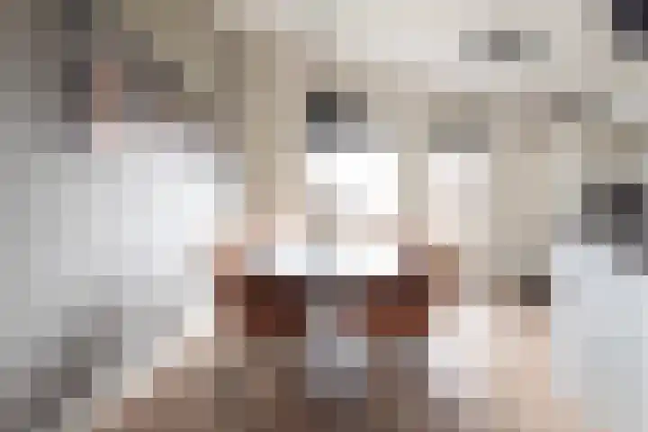 Linie 243 Apeldoorn thumbnail 22