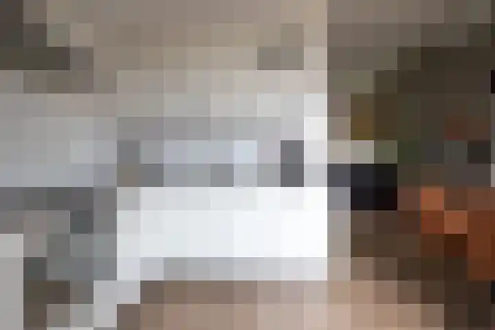 Linie 243 Apeldoorn thumbnail 23