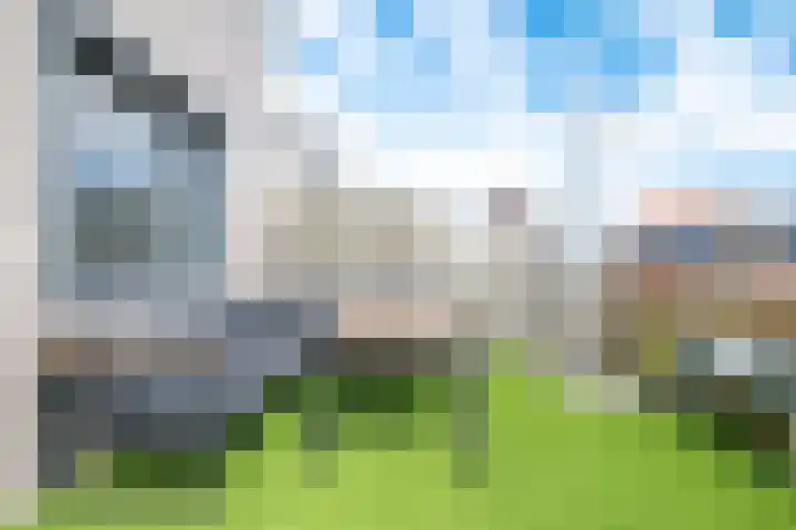 Linie 243 Apeldoorn thumbnail 25