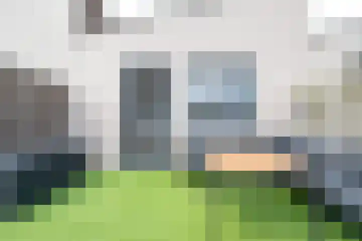 Linie 243 Apeldoorn thumbnail 26