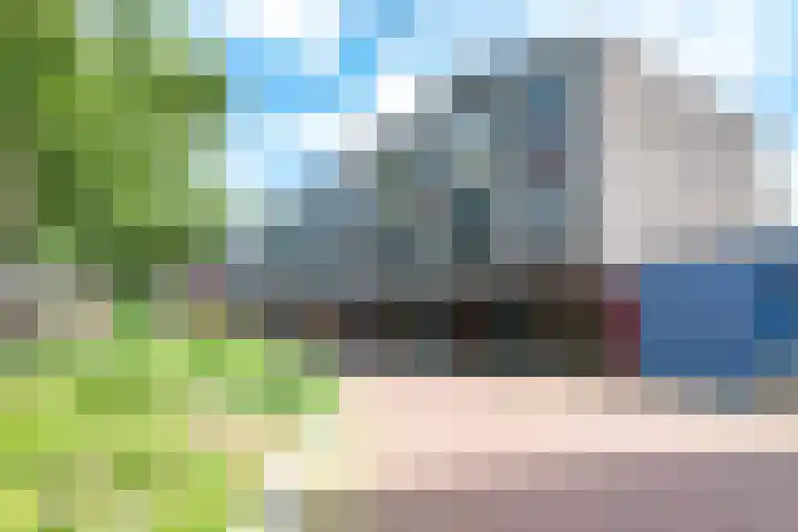 Linie 243 Apeldoorn thumbnail 30