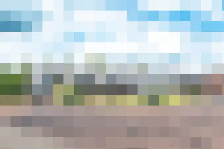 Linie 243 Apeldoorn thumbnail 4