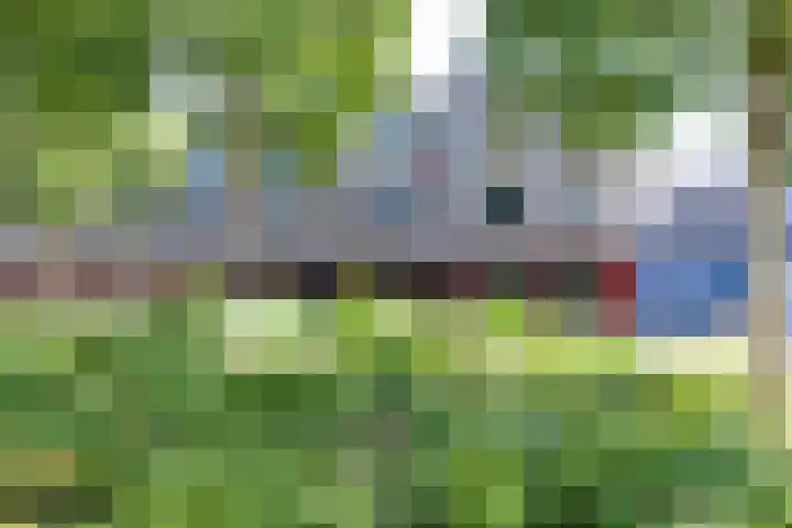 Linie 243 Apeldoorn thumbnail 5
