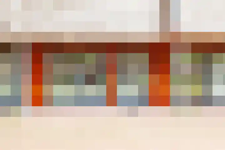 Linie 243 Apeldoorn thumbnail 6