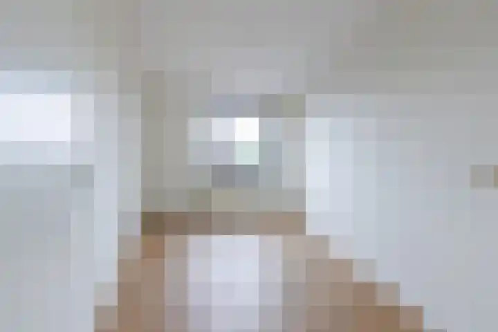 Linie 267 Apeldoorn thumbnail 13