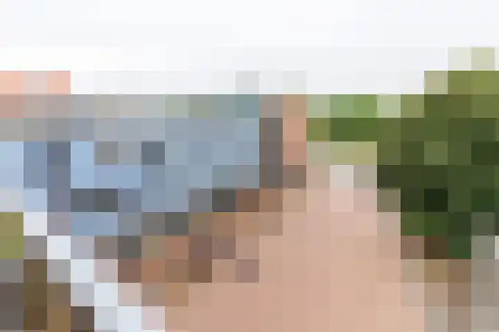 Linie 267 Apeldoorn thumbnail 20