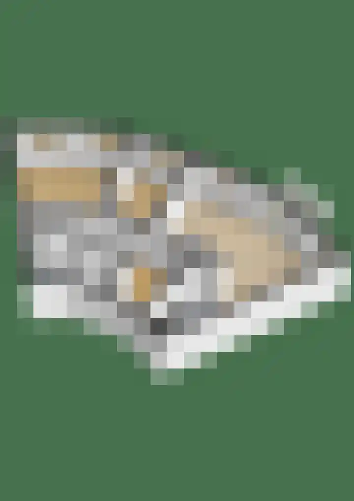 Linie 267 Apeldoorn thumbnail 24