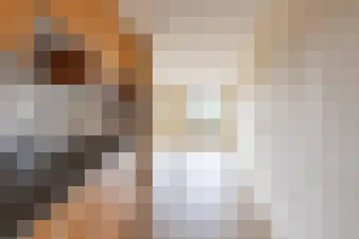 Linie 267 Apeldoorn thumbnail 4