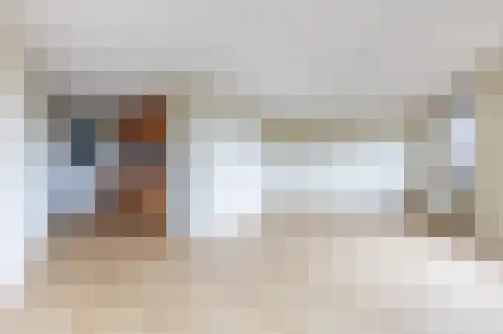 Linie 267 Apeldoorn thumbnail 5