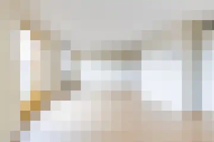 Linie 267 Apeldoorn thumbnail 6